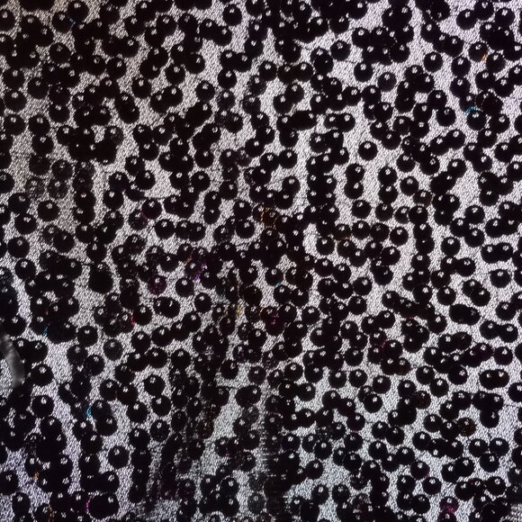 Sequin Covered Blouse - Picture 6 of 7